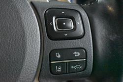 2020 Lexus NX 300h Luxury