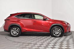 2020 Lexus NX 300h Luxury