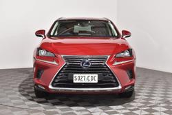 2020 Lexus NX 300h Luxury