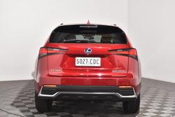 2020 Lexus NX 300h Luxury