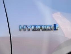 2024 Toyota RAV4 Cruiser