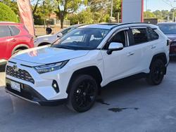 2024 Toyota RAV4 Cruiser