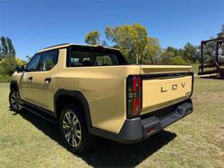 2025 LDV TERRON 9 EVOLVE