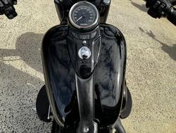 2017 HARLEY-DAVIDSON FLSS SOFTAIL SLIM S