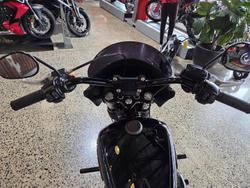 2019 Harley-Davidson Street Bob 107 (FXBB)
