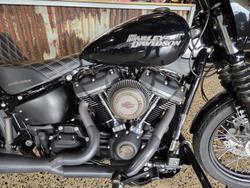 2019 Harley-Davidson Street Bob 107 (FXBB)
