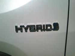 2023 Toyota RAV4 Cruiser