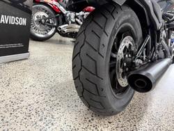 2025 Harley-Davidson Low Rider S 117 (FXLRS) Softail Grey