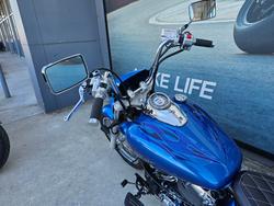 2009 Yamaha XVS650 V-STAR CUSTOM Blue