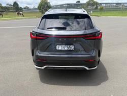 2025 Lexus NX 350h F Sport