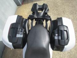 2021 BMW Motorrad F 900 XR WHITE