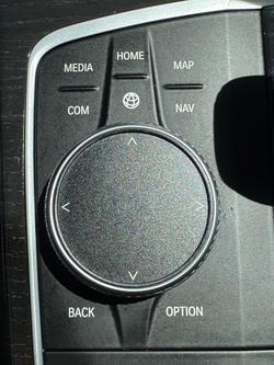 2020 BMW 3 Series 320i Luxury Line G20 Blue Ridge Mountain