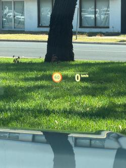 2020 BMW 3 Series 320i Luxury Line G20 Blue Ridge Mountain