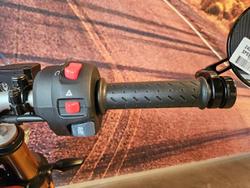 2024 Triumph Speed 400 Speed Four Grey