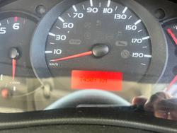 2020 Windsor Daintree