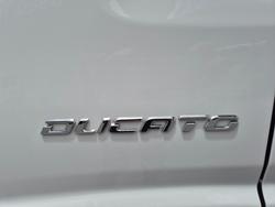 2019 Fiat Ducato AUTO Maxi Van