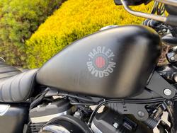 2020 HARLEY-DAVIDSON XL883N IRON 883 Black