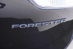 2023 Subaru Forester 2.5i 50 Years Edition