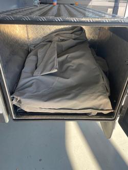 2019 Cub Escape