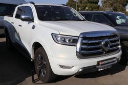 2022 GWM Ute Cannon