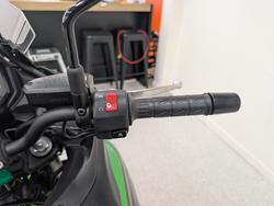 2022 Kawasaki VERSYS 650L (KLE650H) Green