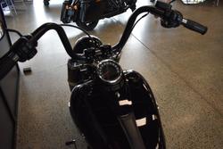 2020 HARLEY-DAVIDSON FLSL SOFTAIL SLIM (107)