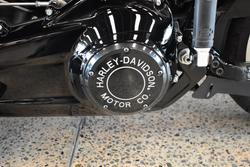 2020 HARLEY-DAVIDSON FLSL SOFTAIL SLIM (107)