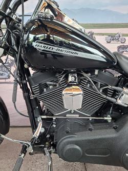 2013 HARLEY-DAVIDSON FXST SOFTAIL STANDARD