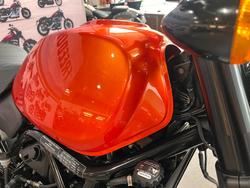 2024 HARLEY-DAVIDSON HD500-10A H-DX X500