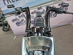 2019 HARLEY-DAVIDSON FLFBS FAT BOY S (114)