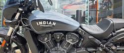 2023 Indian SCOUT ROGUE CYPHER CAMO GRAY