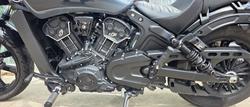 2023 Indian SCOUT ROGUE CYPHER CAMO GRAY
