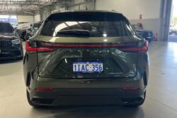 2023 Lexus NX NX350h Luxury