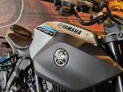 2026 Yamaha MT-07HO MT