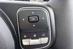 2025 GWM Cannon Ultra