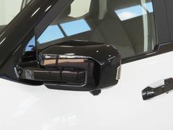 2025 LDV Terron 9 Origin