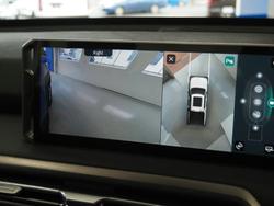 2025 LDV Terron 9 Evolve