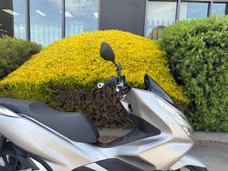 2019 Honda PCX150 WW150