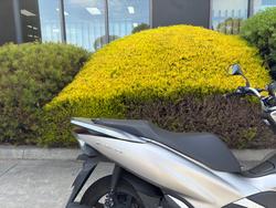2019 Honda PCX150 WW150