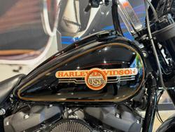 2024 Harley-Davidson Low Rider S 117 (FXLRS) Softail Black