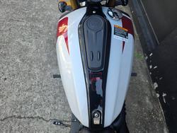 2025 Indian 2025 INDIAN 1250CC 101 SCOUT GHOST WHITE METALLIC
