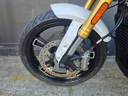 2025 Indian 2025 INDIAN 1250CC 101 SCOUT GHOST WHITE METALLIC