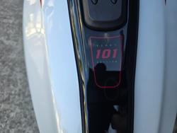 2025 Indian 2025 INDIAN 1250CC 101 SCOUT GHOST WHITE METALLIC