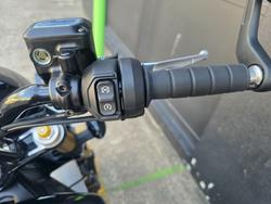 2025 Indian 2025 INDIAN 1250CC 101 SCOUT GHOST WHITE METALLIC