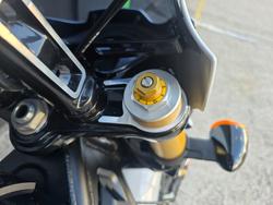 2025 Indian 2025 INDIAN 1250CC 101 SCOUT GHOST WHITE METALLIC