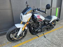 2025 Indian 2025 INDIAN 1250CC 101 SCOUT GHOST WHITE METALLIC