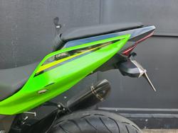 2019 Kawasaki NINJA 400 KRT EDITION Green