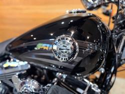 2017 HARLEY-DAVIDSON FXSB SOFTAIL BREAKOUT