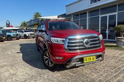 2021 GWM Ute Cannon-X