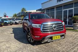 2021 GWM Ute Cannon-X
